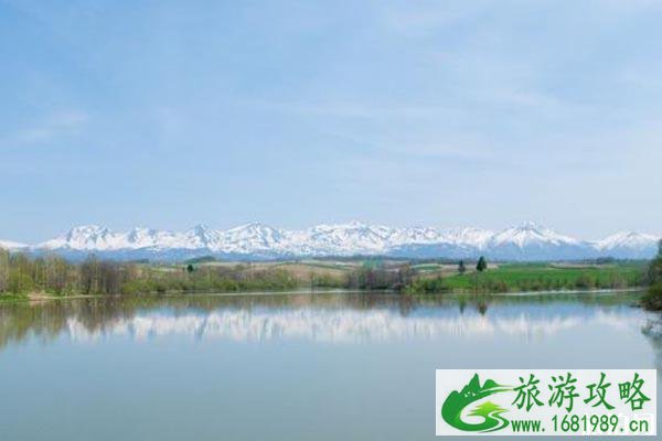 北海道美瑛旅游攻略