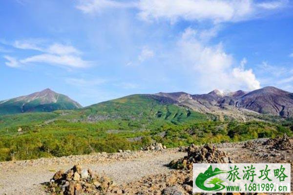 北海道美瑛旅游攻略