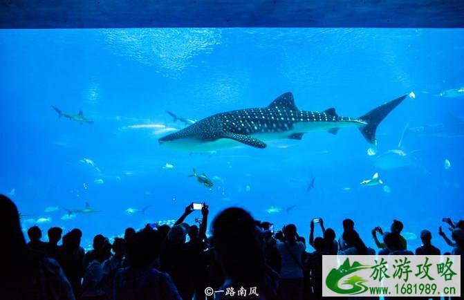 珠海长隆龙秀攻略 珠海长隆龙秀好看吗