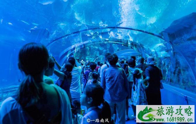 珠海长隆龙秀攻略 珠海长隆龙秀好看吗