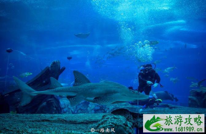 珠海长隆龙秀攻略 珠海长隆龙秀好看吗