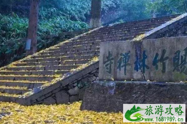 镇江哪里有银杏树观赏