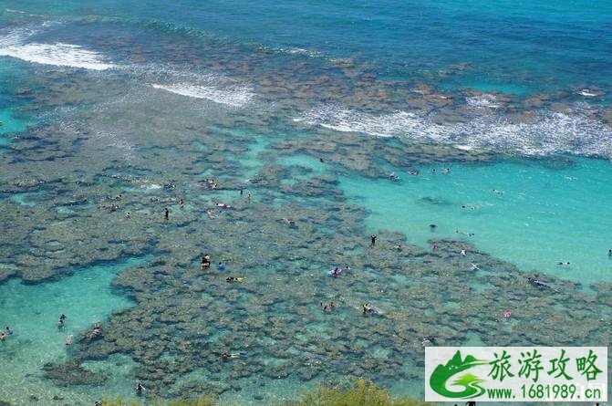 夏威夷旅游攻略2022 夏威夷旅游攻略2022