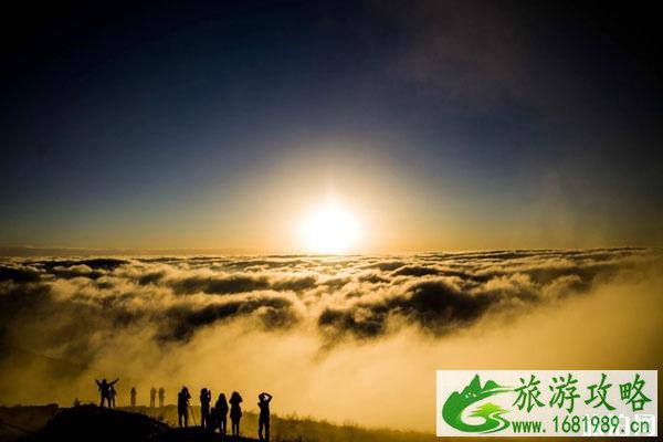 牛背山开放了吗 牛背山预计什么时候能开放 牛背山开放了吗 牛背山预计什么时候能开放