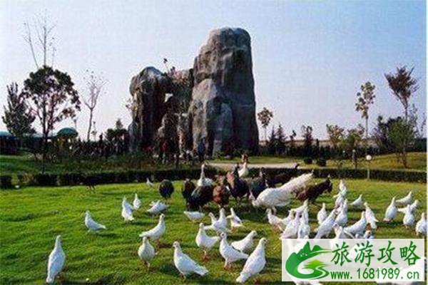 徐州亲子游玩景点攻略