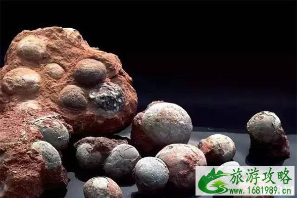 广东各个博物馆的镇馆之宝 广东各个博物馆的镇馆之宝