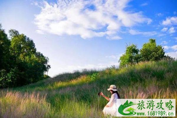 佛山秋季赏花攻略