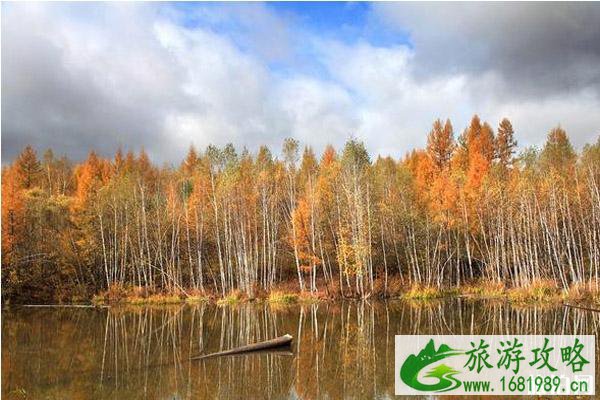 呼伦贝尔秋天旅游攻略 呼伦贝尔秋天旅游攻略