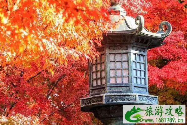 京都红叶季2022时间+哪里最好看