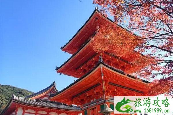 京都红叶季2022时间+哪里最好看
