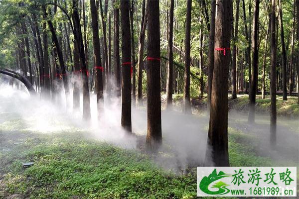 青州周边自驾游去哪里玩比较好 青州周边自驾游去哪里玩比较好