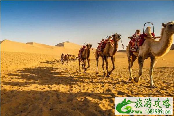 东宫取景地旅游攻略