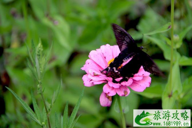 两当云屏三峡一日游旅游攻略 两当云屏三峡一日游旅游攻略
