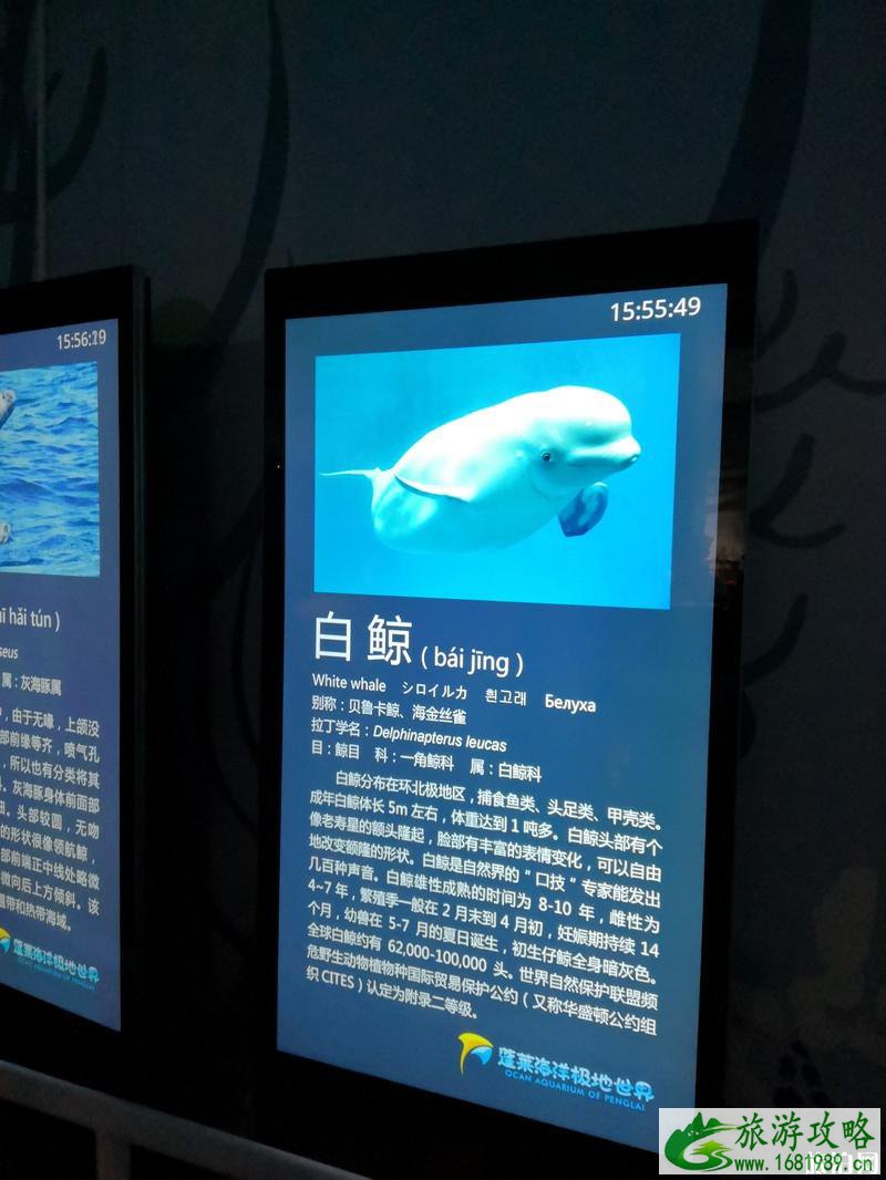蓬莱三日游旅游攻略 蓬莱三日游景点推荐