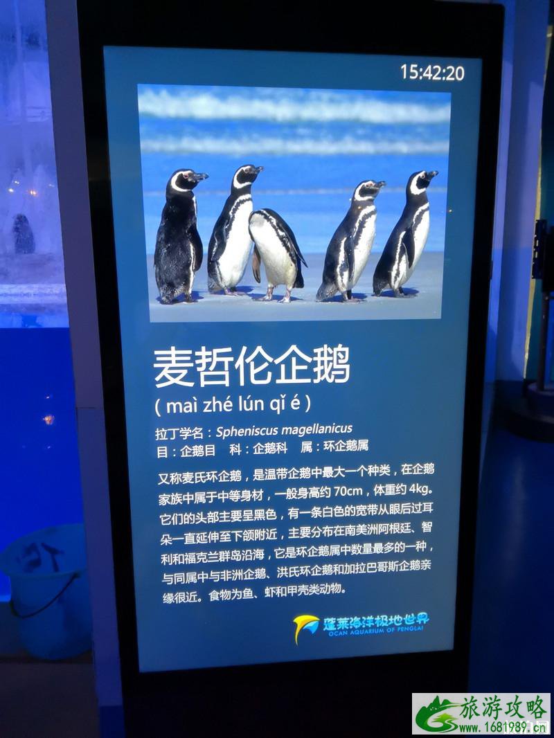 蓬莱三日游旅游攻略 蓬莱三日游景点推荐