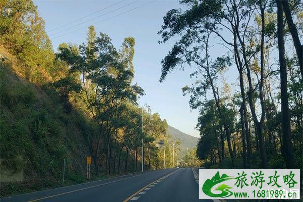 惠州南昆山国家森林公园好玩吗 自驾游路线