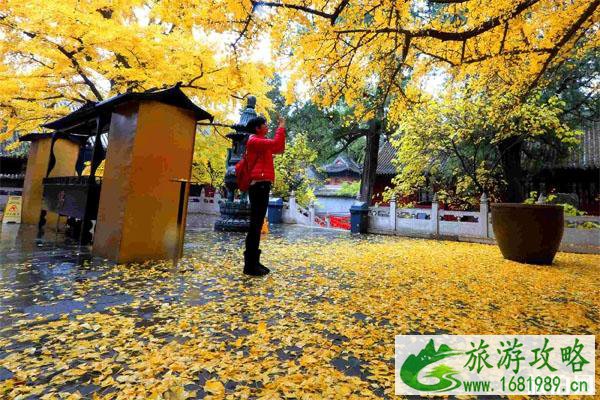 2022北京郊区自驾游旅游攻略