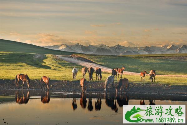 伊犁有什么娱乐项目 伊犁旅游须知 伊犁有什么娱乐项目 伊犁旅游须知