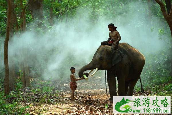 泰国的天气怎么样  最佳旅游时间是什么时候