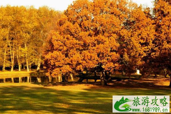 秋天国内最佳旅游地 秋天适合去什么地方旅游