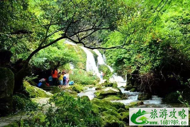 茂兰旅游攻略 茂兰徒步看点