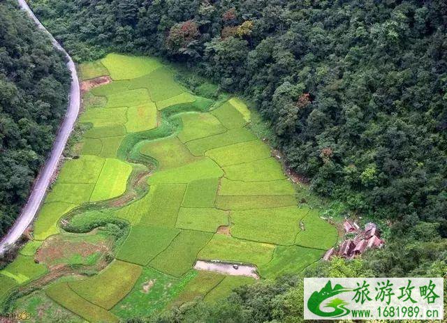 茂兰旅游攻略 茂兰徒步看点