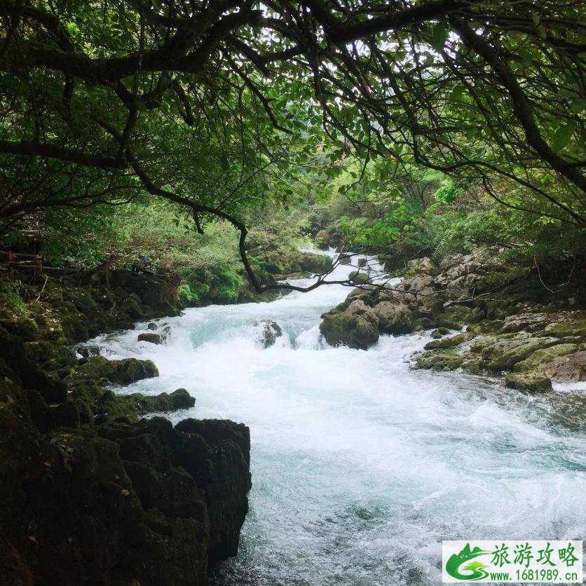 茂兰旅游攻略 茂兰徒步看点