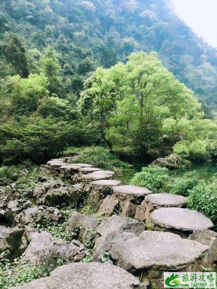 茂兰旅游攻略 茂兰徒步看点