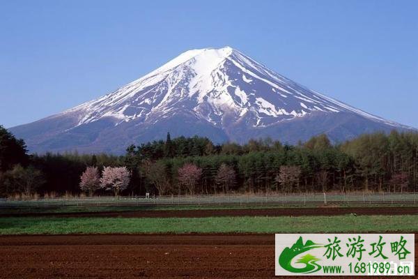 富士山最佳观赏时间地点