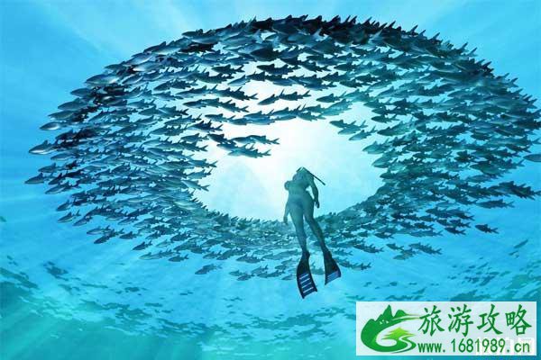 潜水时如何让空气使用时间延长