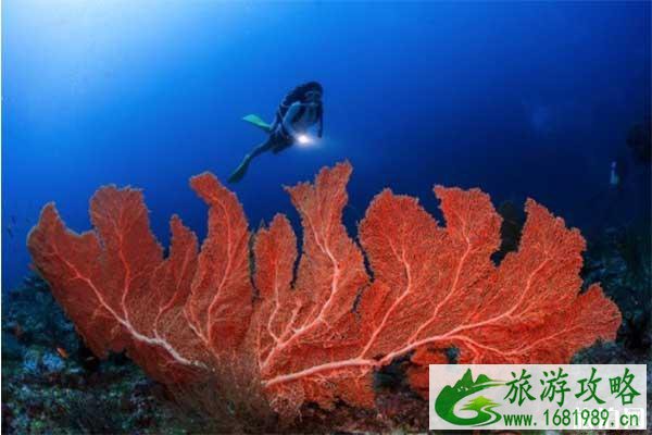 潜水时如何让空气使用时间延长