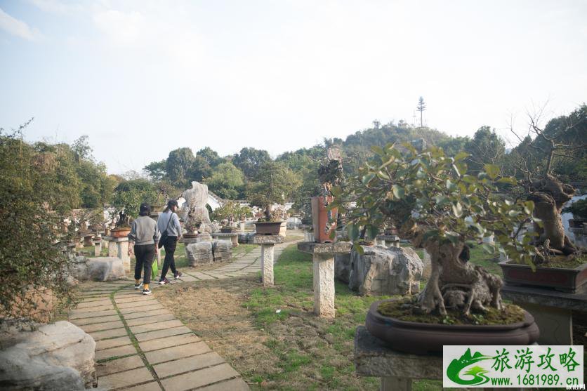 黄果树瀑布景区避坑玩法 黄果树瀑布景区避坑玩法