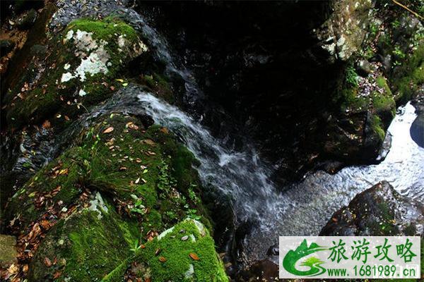 石台牯牛降和祁门牯牛降有什么区别，哪个更值得去