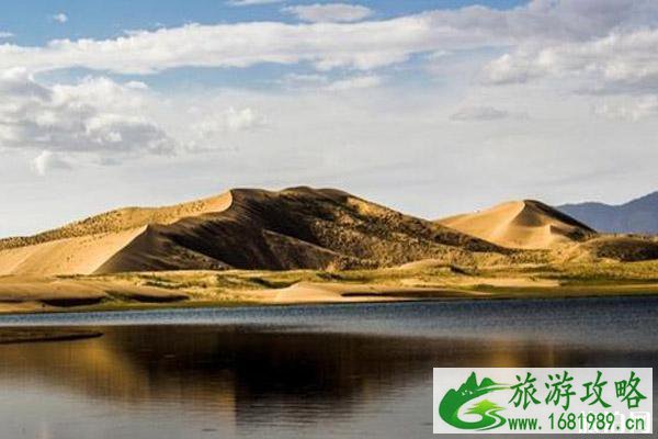 2022金子海景区开放时间 金子海景区好玩吗