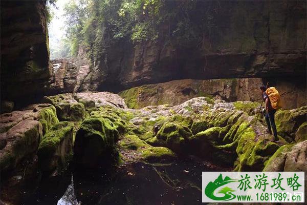 利川主要景点有哪些 利川各景点间的交通是什么样的 利川主要景点有哪些 利川各景点间的交通是什么样的