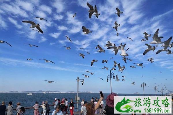 旅顺有什么好玩的 旅顺热门景点介绍