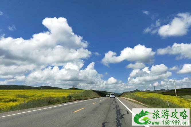 甘南桑科草原旅游攻略 甘南桑科草原旅游攻略