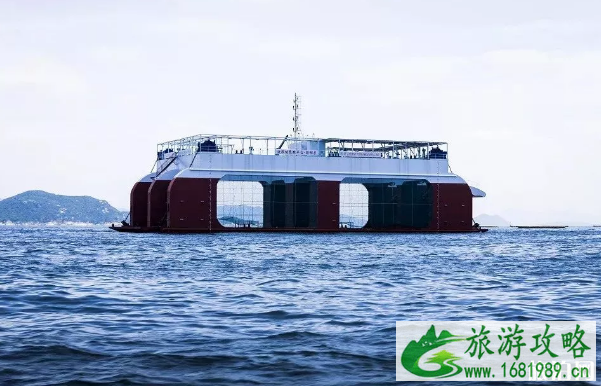 2022珠海桂山岛开渔时间+网红打卡点+美食推荐
