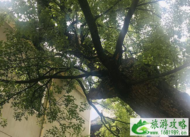 开化自驾游攻略 霞山古村游玩攻略 金溪桃韵游玩攻略 开化自驾游攻略 霞山古村游玩攻略 金溪桃韵游玩攻略