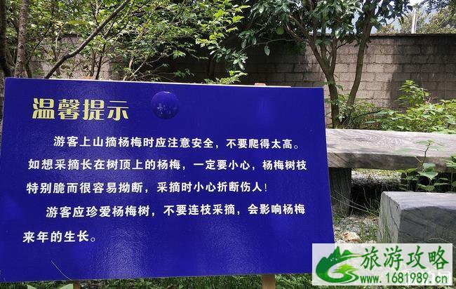 开化自驾游攻略 霞山古村游玩攻略 金溪桃韵游玩攻略 开化自驾游攻略 霞山古村游玩攻略 金溪桃韵游玩攻略