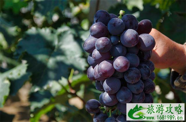 北京神堂峪一日游攻略 北京神堂峪一日游攻略