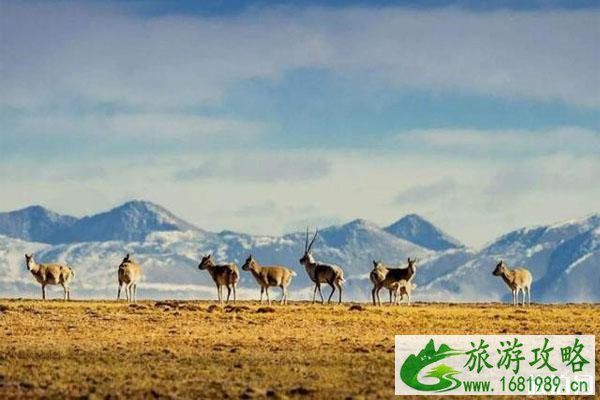 中国世界自然遗产有哪些  分布在哪些地方