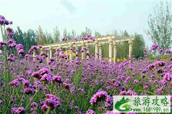 石家庄森林河趣那公园门票价格多少钱