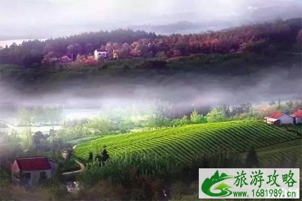常州溧阳二日游玩攻略