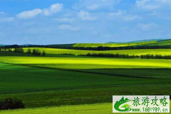 海尔拉有什么好吃的 海尔拉旅游须知 海尔拉有什么好吃的 海尔拉旅游须知