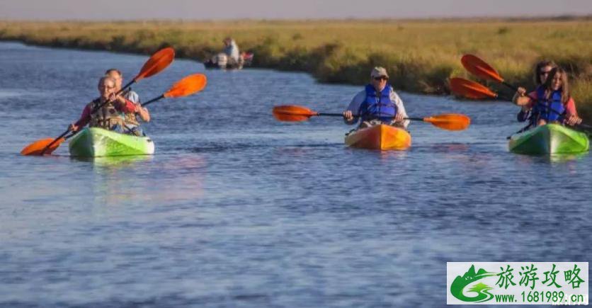 德克萨斯海湾不能错过的特色体验 德克萨斯海湾不能错过的特色体验