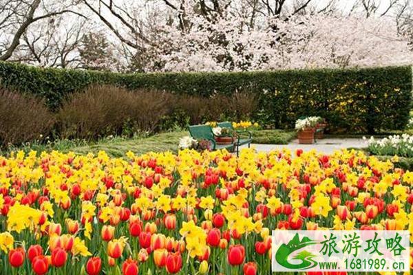 春天去达拉斯怎么玩 达拉斯道路情况 春天去达拉斯怎么玩 达拉斯道路情况