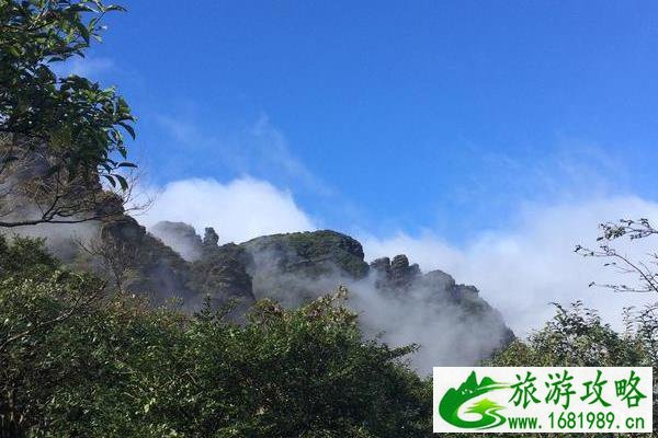 梵净山游记800字 梵净山旅游游记作文 梵净山游记800字 梵净山旅游游记作文