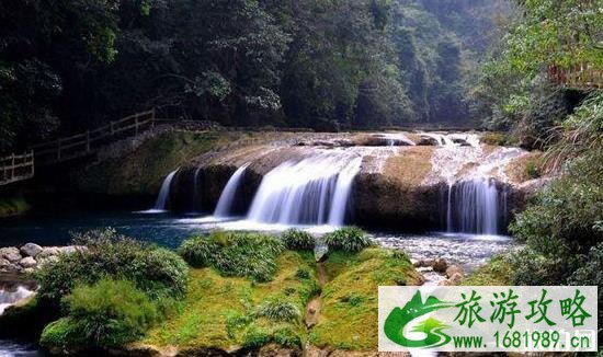 荔波旅游攻略景点必去有哪些 荔波旅游攻略景点必去有哪些