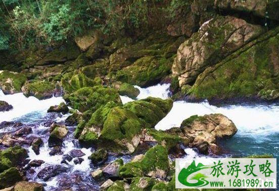 荔波旅游攻略景点必去有哪些 荔波旅游攻略景点必去有哪些